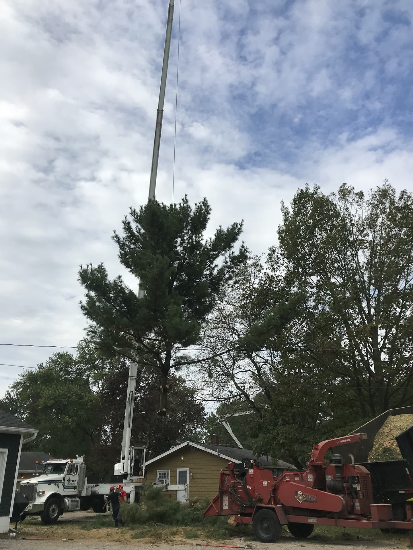 GP Tree Crane Tree Removal