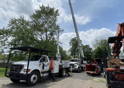 GP Tree Service experts removing a tree